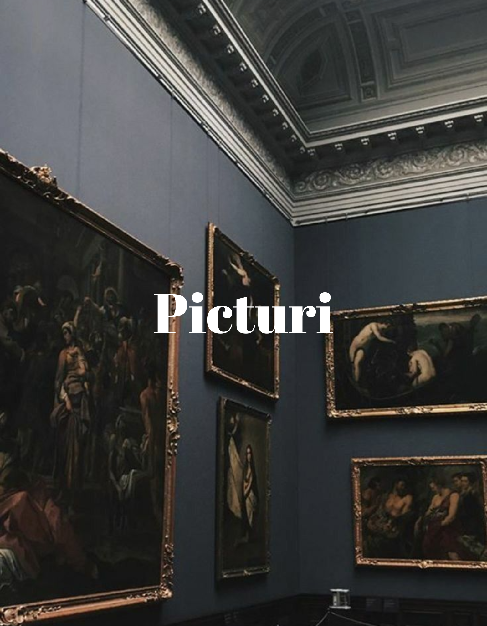 Picturi - Thread Muse