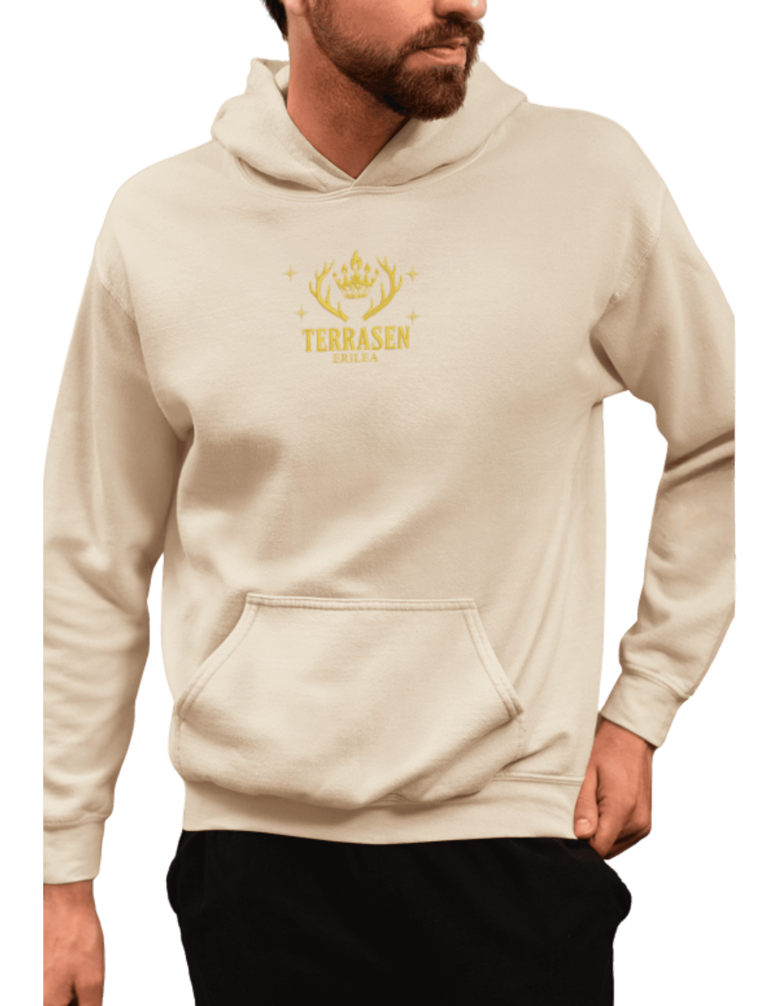 Terrasen 2.0 hoodie Throne of Glass - Thread Muse